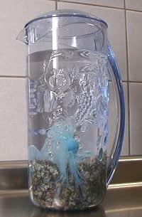 麦飯石水